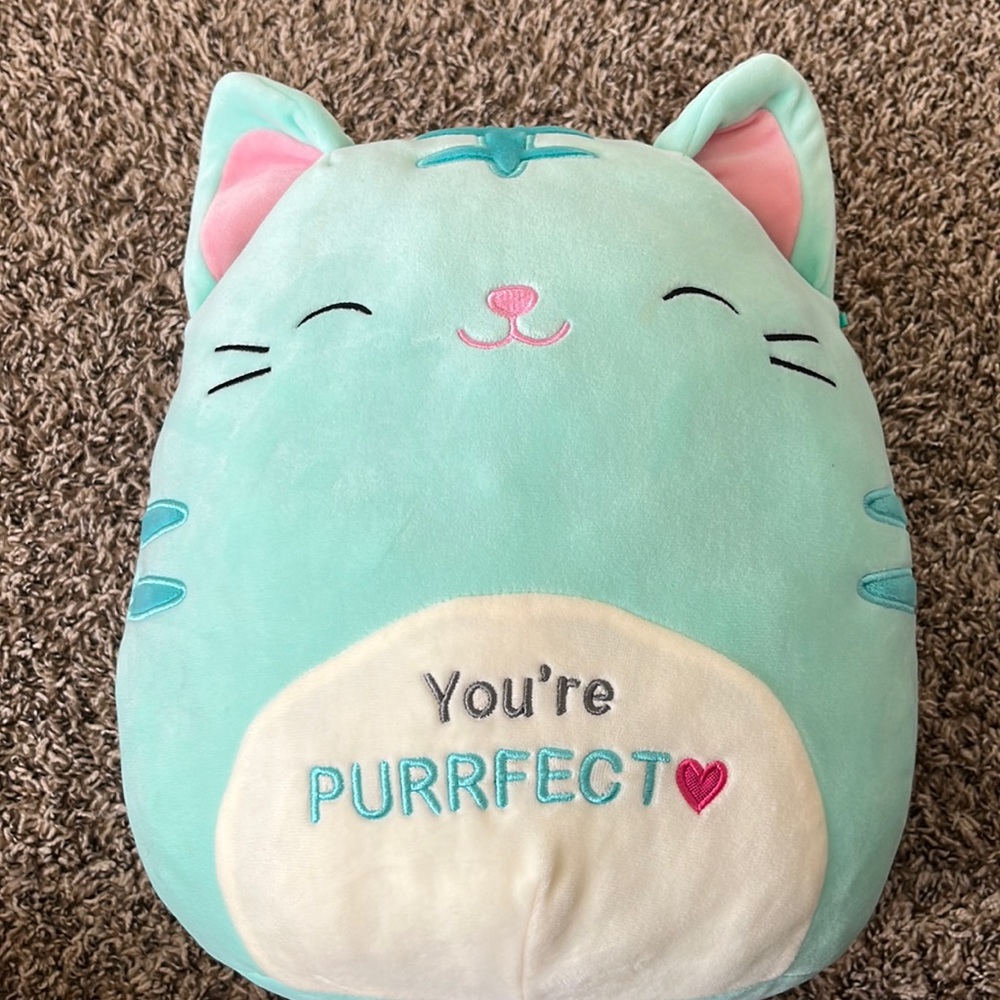 Cat Squishmallow!